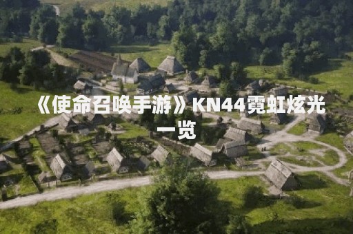 《使命召唤手游》KN44霓虹炫光一览
