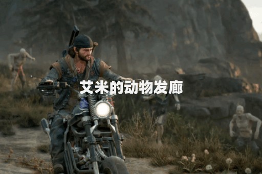 艾米的动物发廊