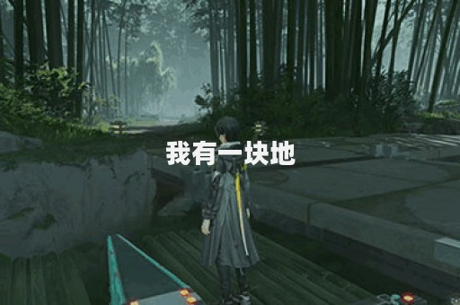 我有一块地