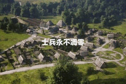 士兵永不凋零
