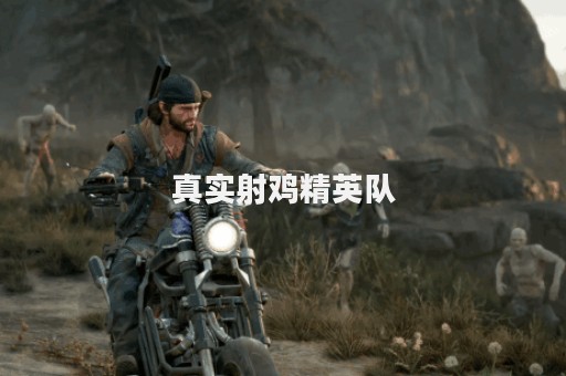 真实射鸡精英队