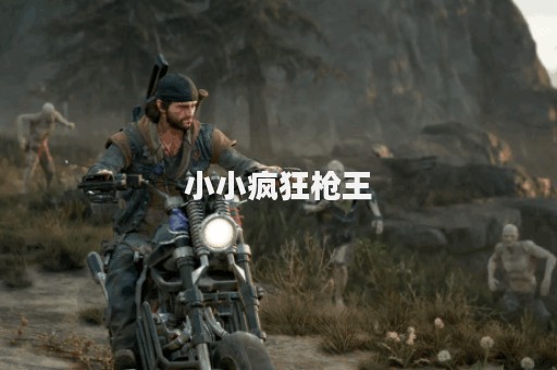 小小疯狂枪王