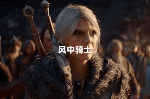 风中骑士