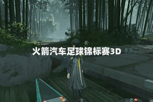 火箭汽车足球锦标赛3D