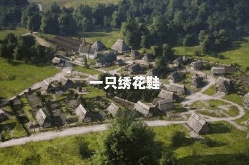 一只绣花鞋