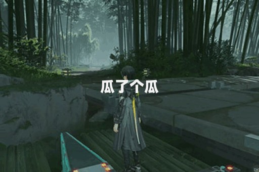 瓜了个瓜