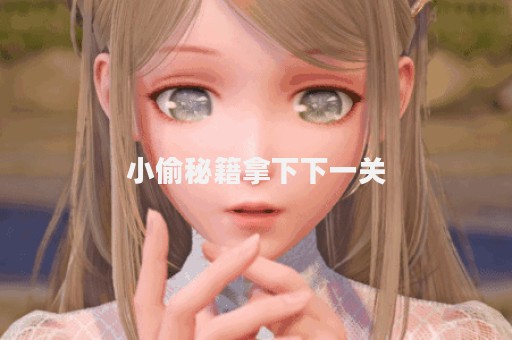 小偷秘籍拿下下一关