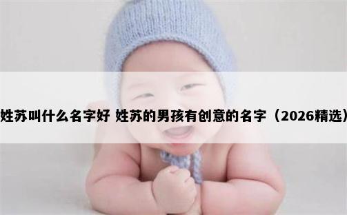 姓苏叫什么名字好 姓苏的男孩有创意的名字（2026精选）